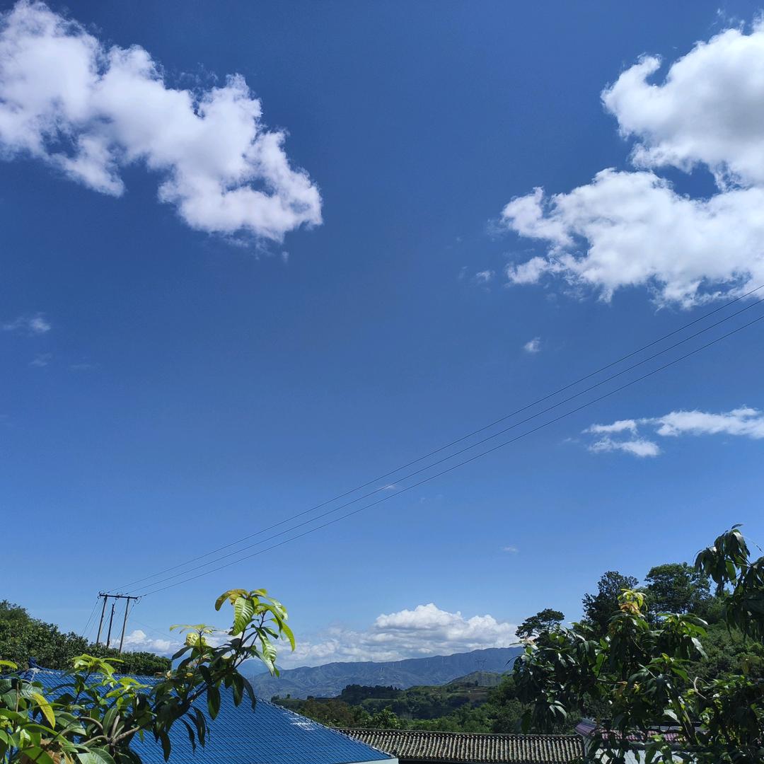 康康