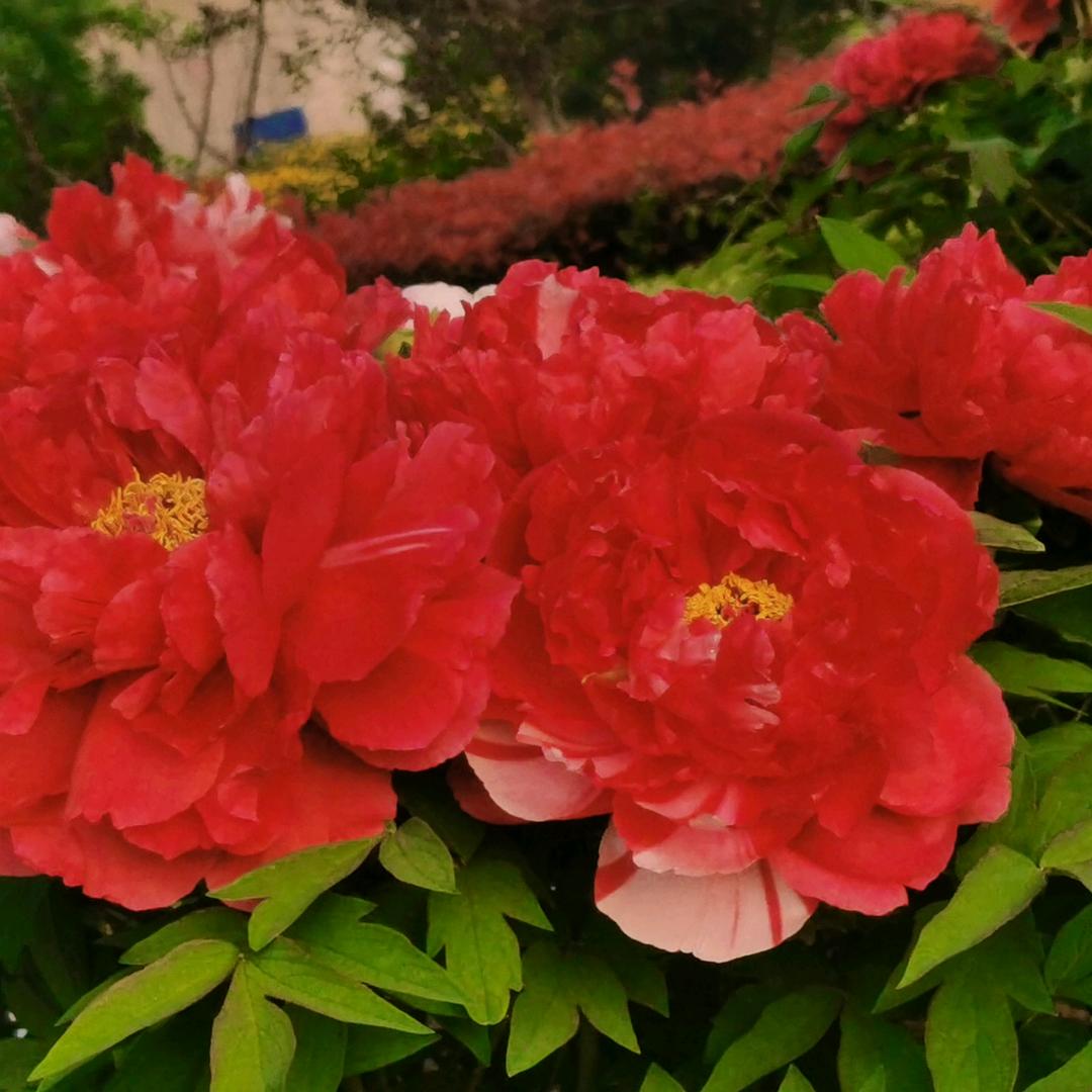 $旭$厨房排烟设备安装维修