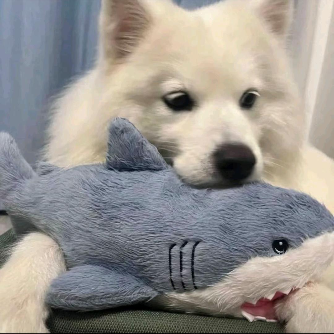 得桉^