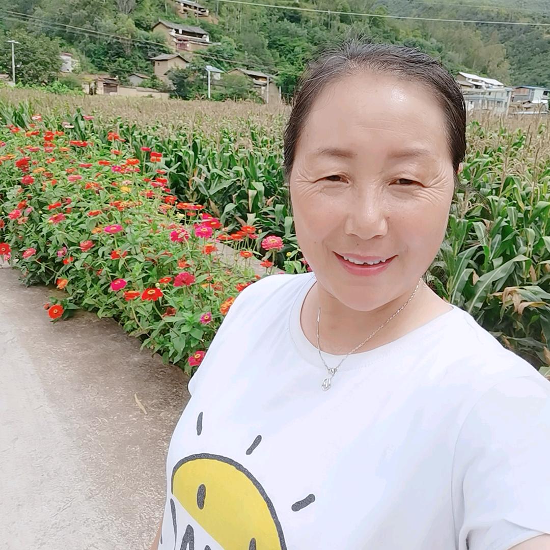 @何姐说媒（楚雄本地）