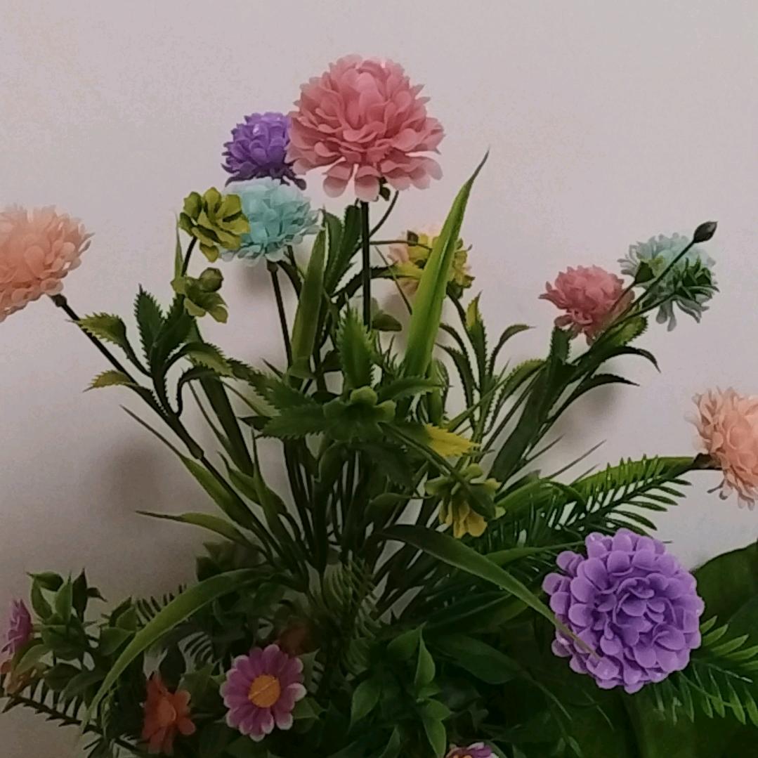 李老师咨询