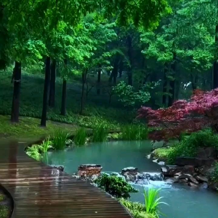 姿媛