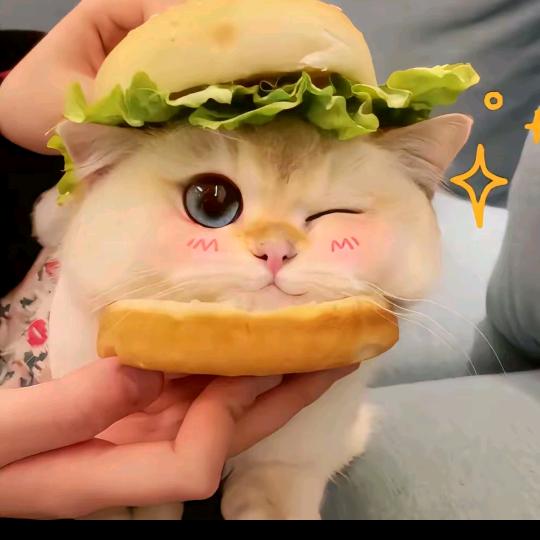 我爱吃冰淇淋🍦