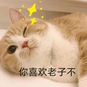赛博貔貅仔