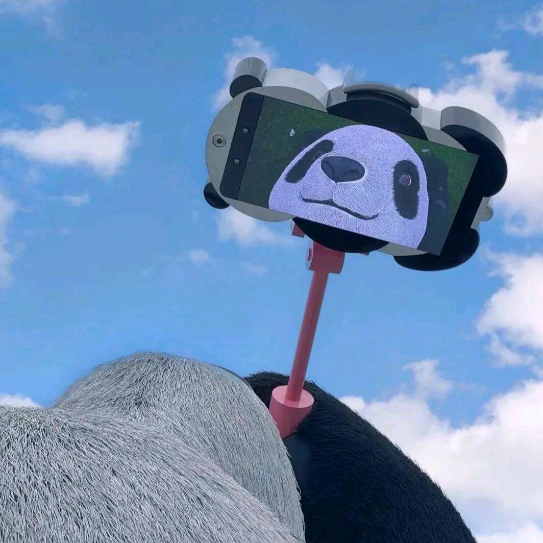 呼噜噜oo0
