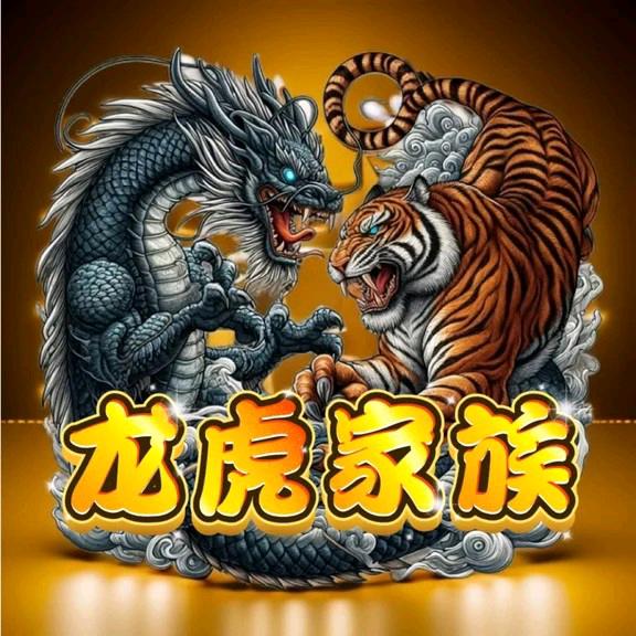 龙虎家二八彗星
