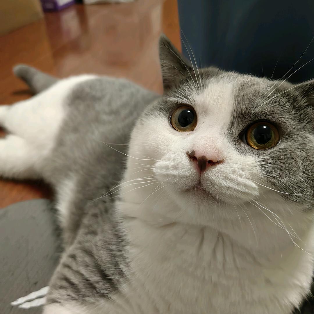 我是郑勇我黑皮