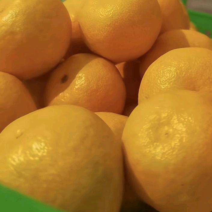 赵波石门蜜桔产地直供