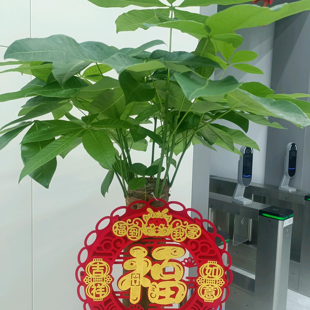 快乐每一天🔥