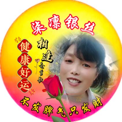 柒凛银丝