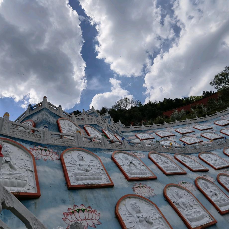 🙈薛定谔的猫💚