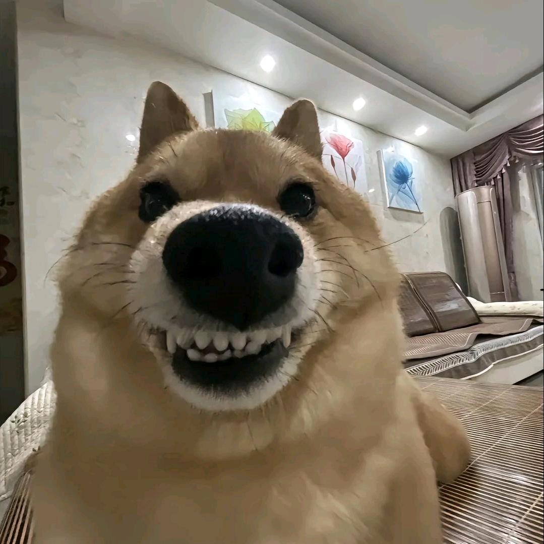 归