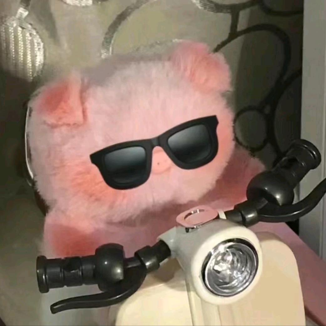 小赖在摸鱼