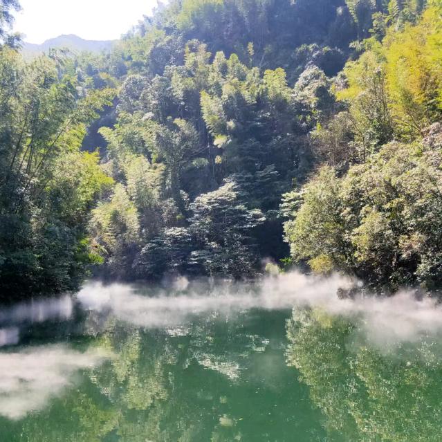 唐人（置业顾问版）