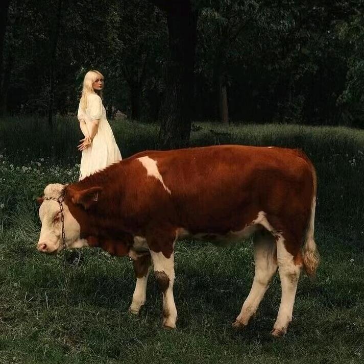伢渼.