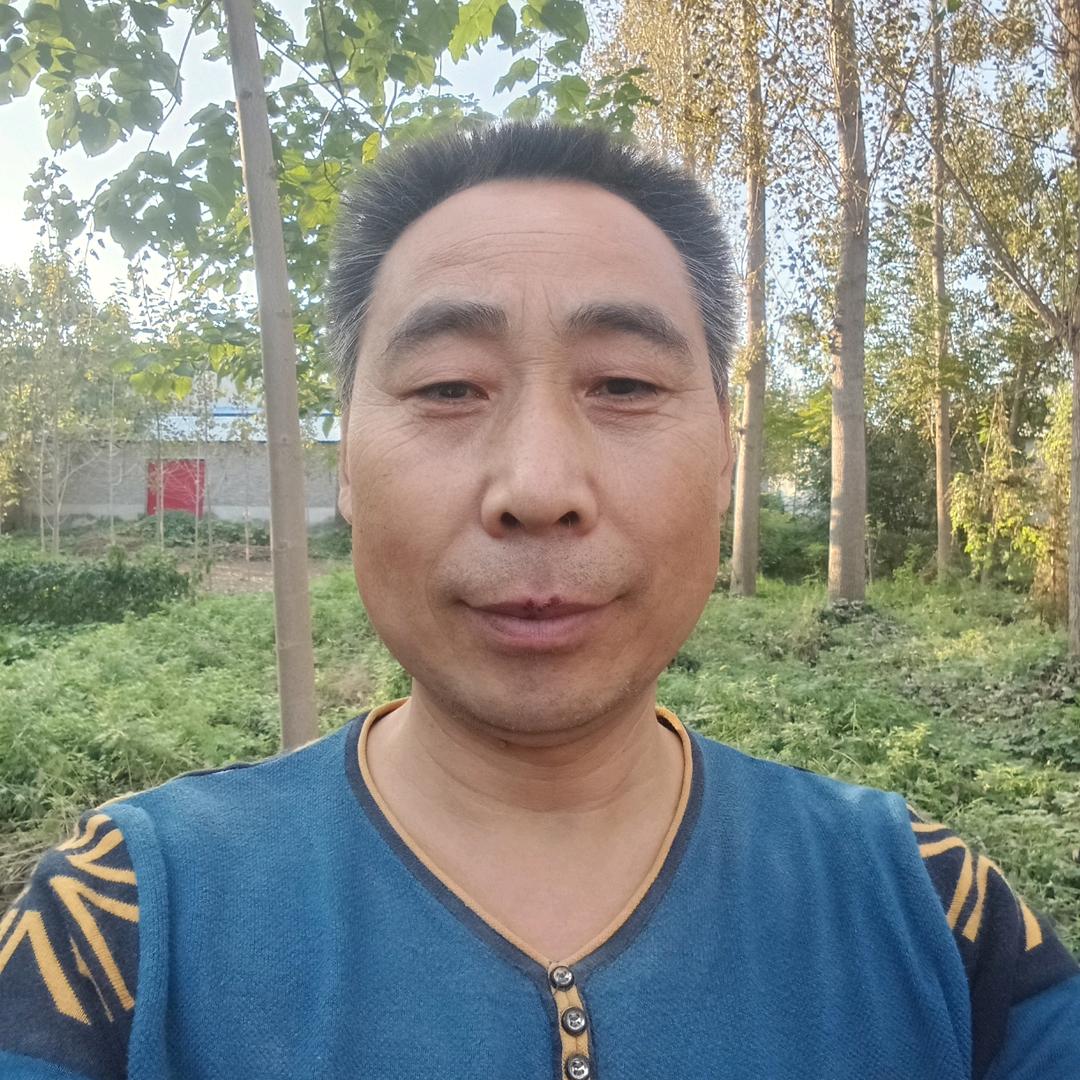 哲哲爸