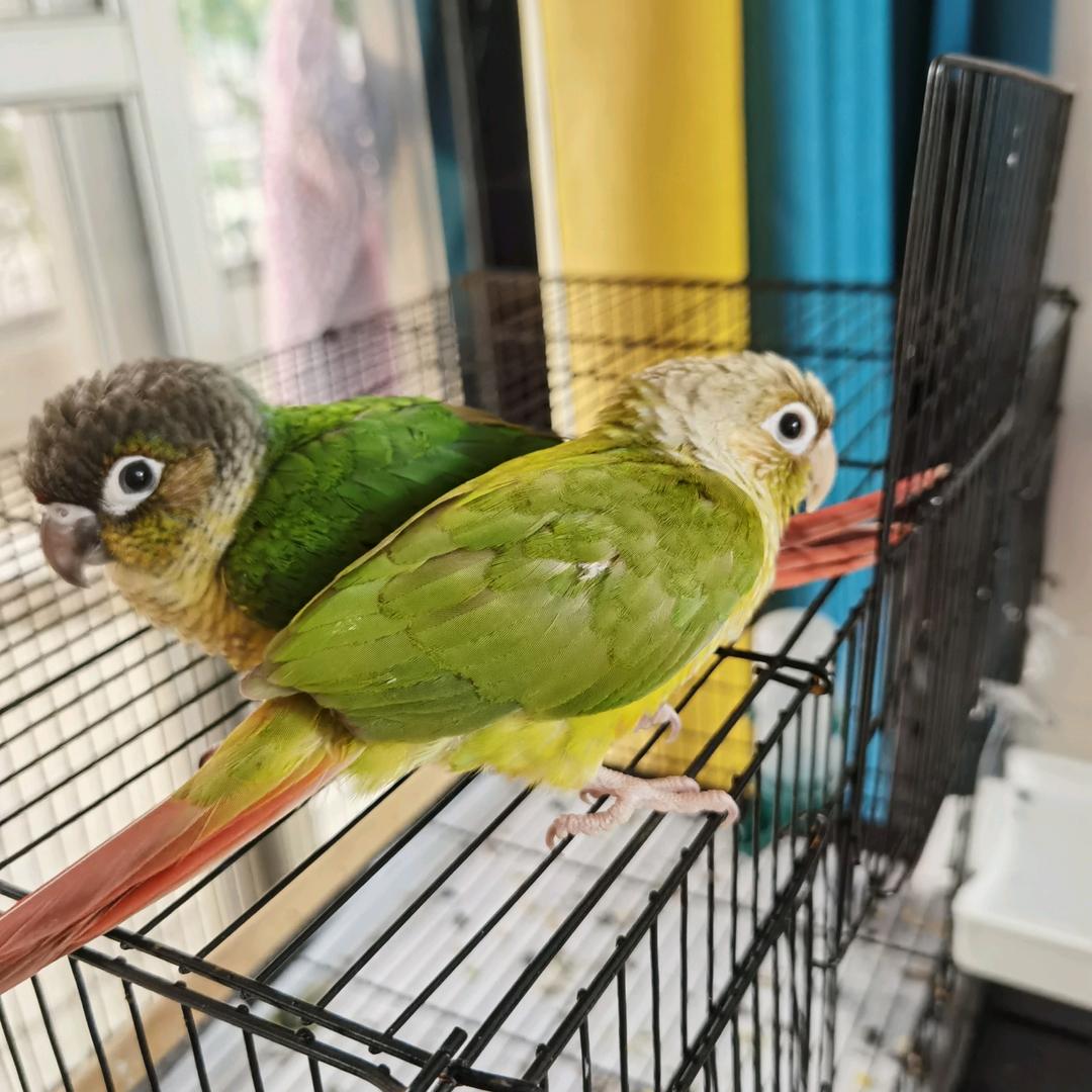 坚守，那份爱！