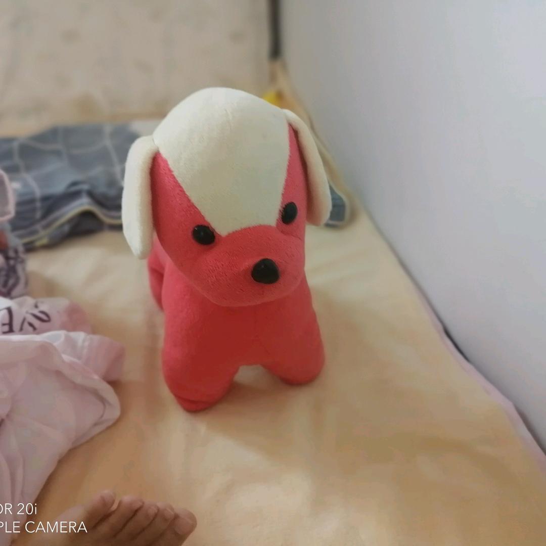 小奶团