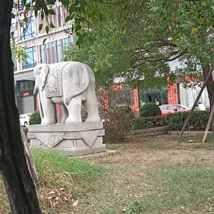 我的心愿是世界和平