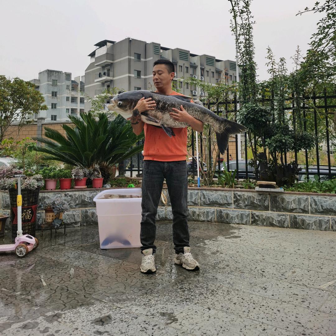 范跑跑-酉阳鸿泰寄售行