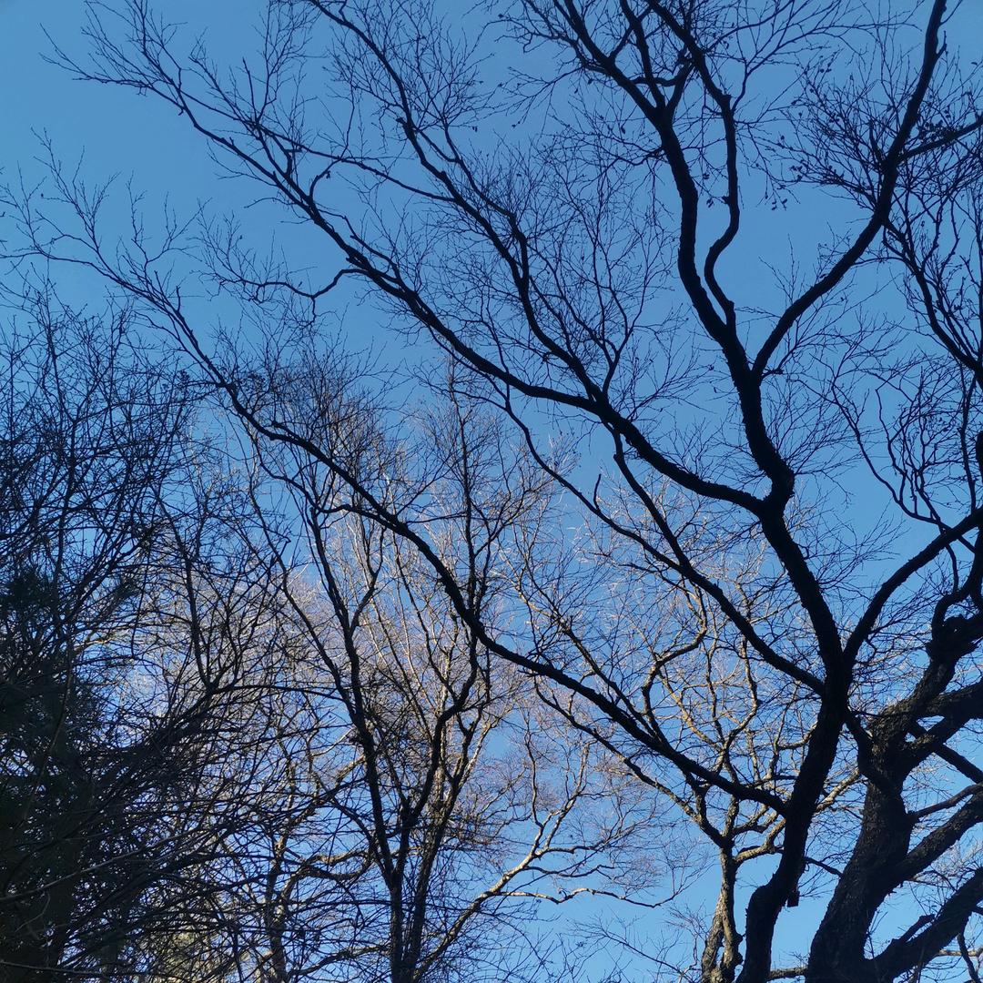 杨庆澳💕社区养生