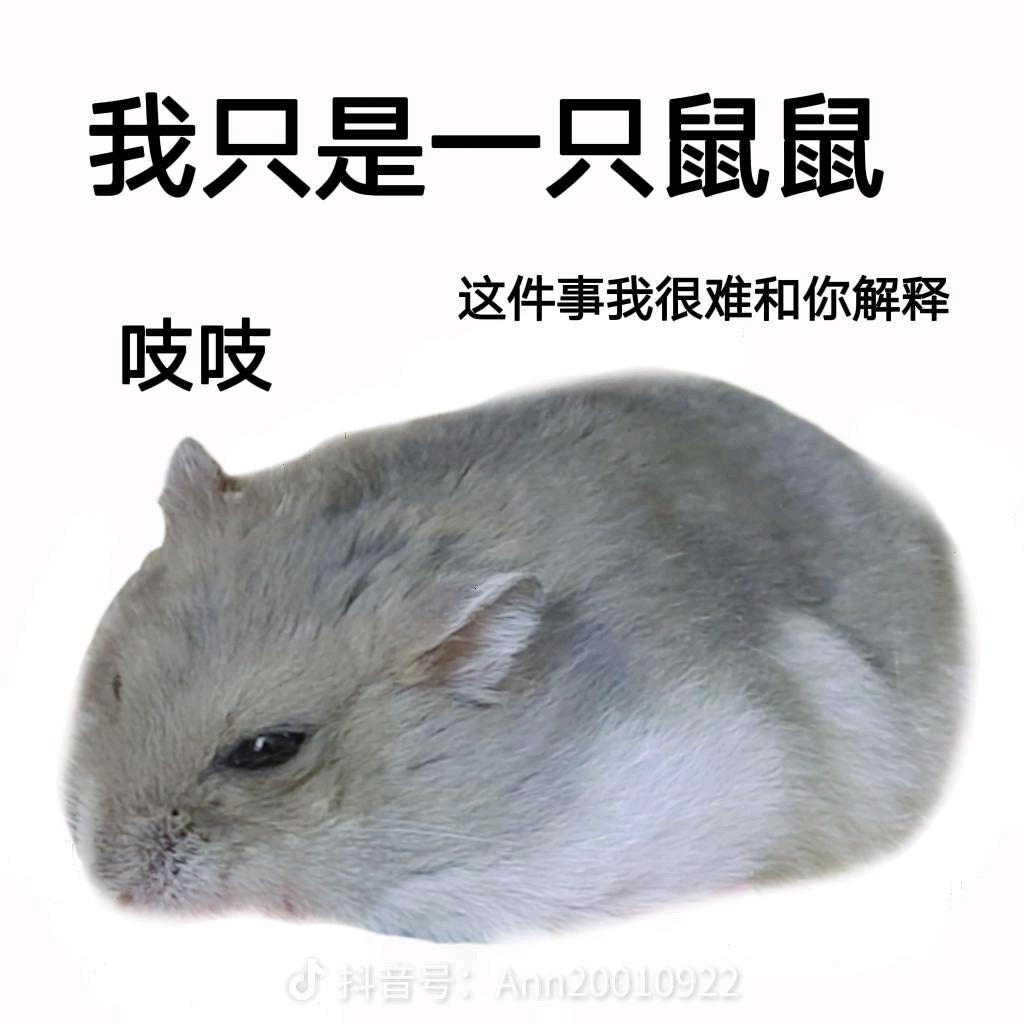 鼠鼠睡不醒.