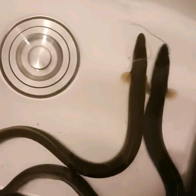 锦之元（宁波本地食材寻觅中）