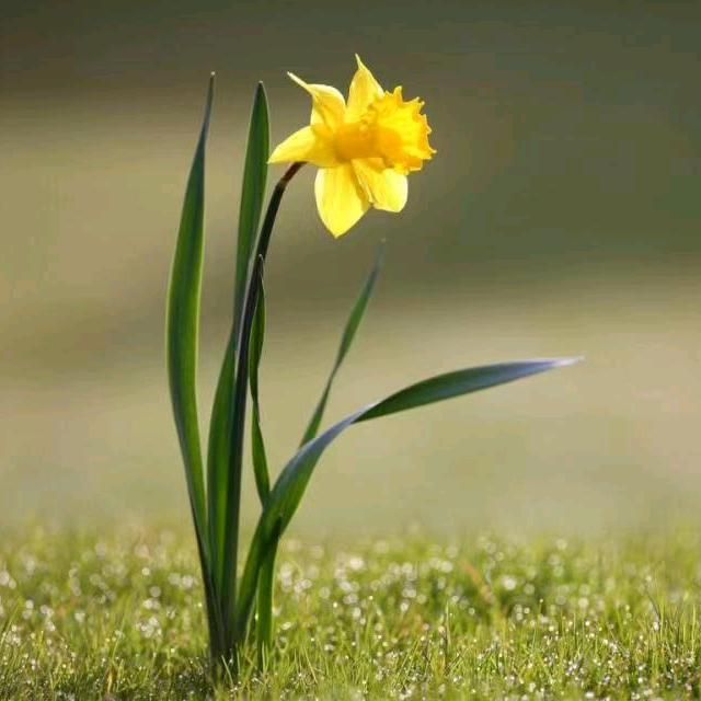 超 凡  直播带货