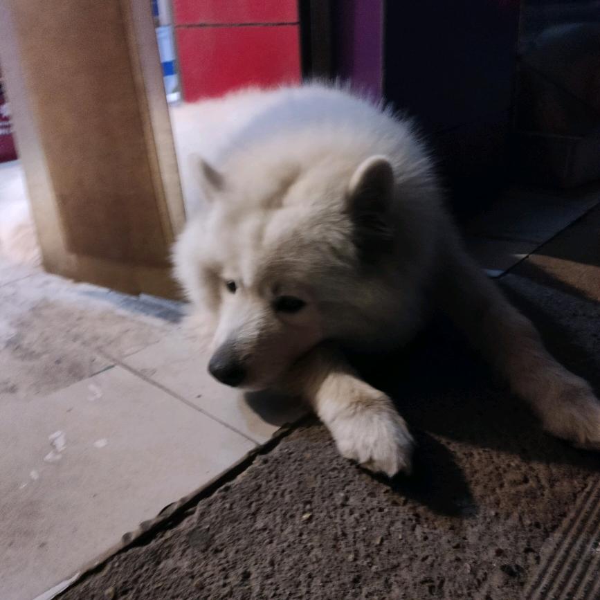 用户7177932643391乐姐