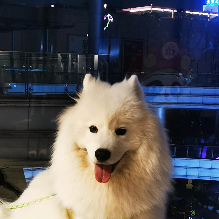 哎呦喂。