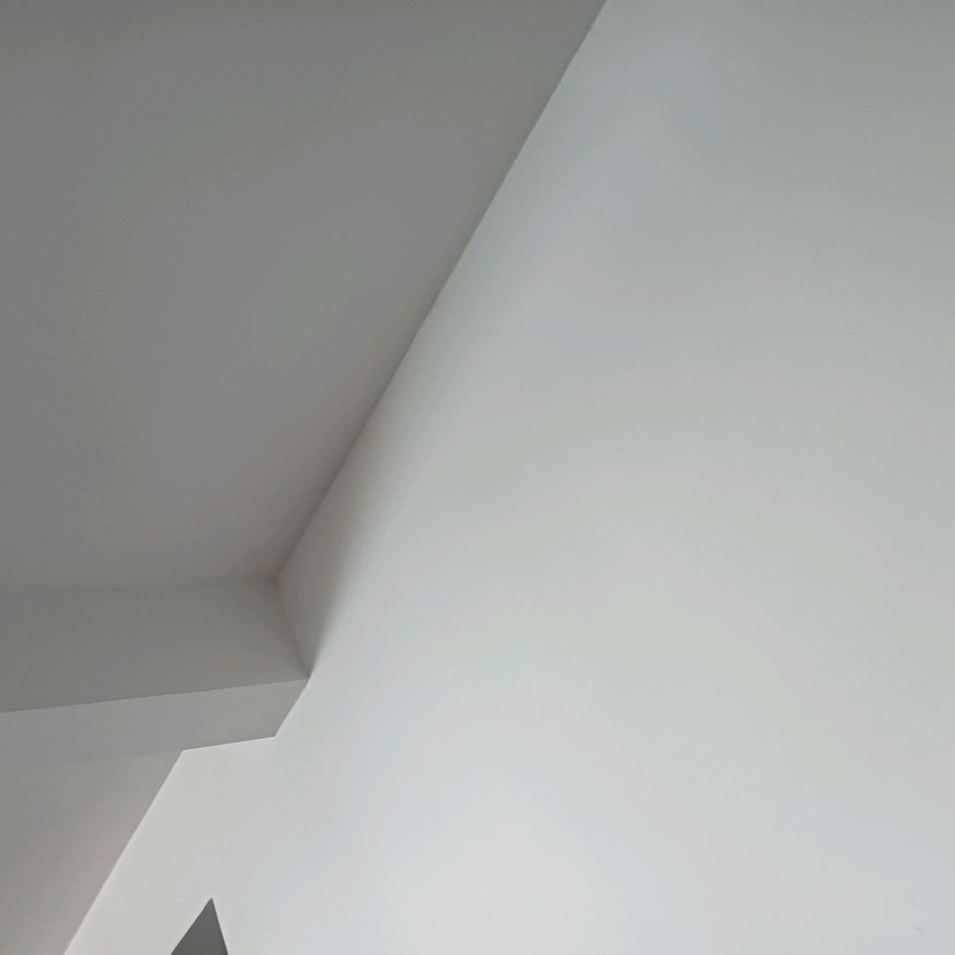 果果，*1