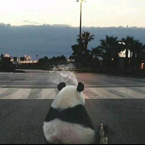 云无心以出岫i