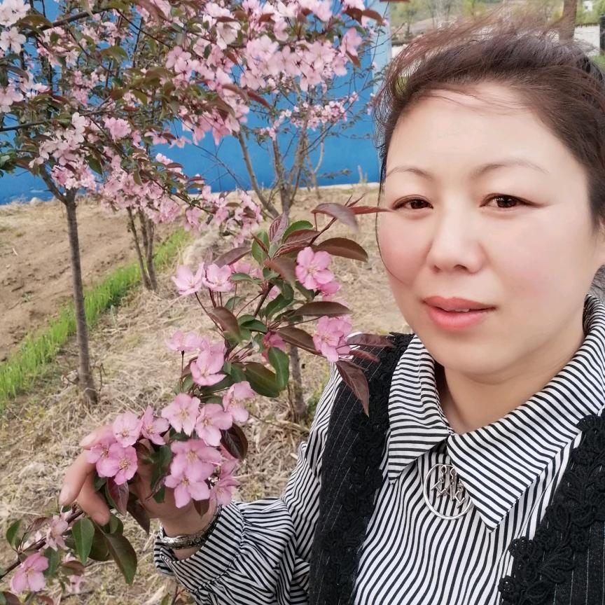 云朵寿司 钵仔糕