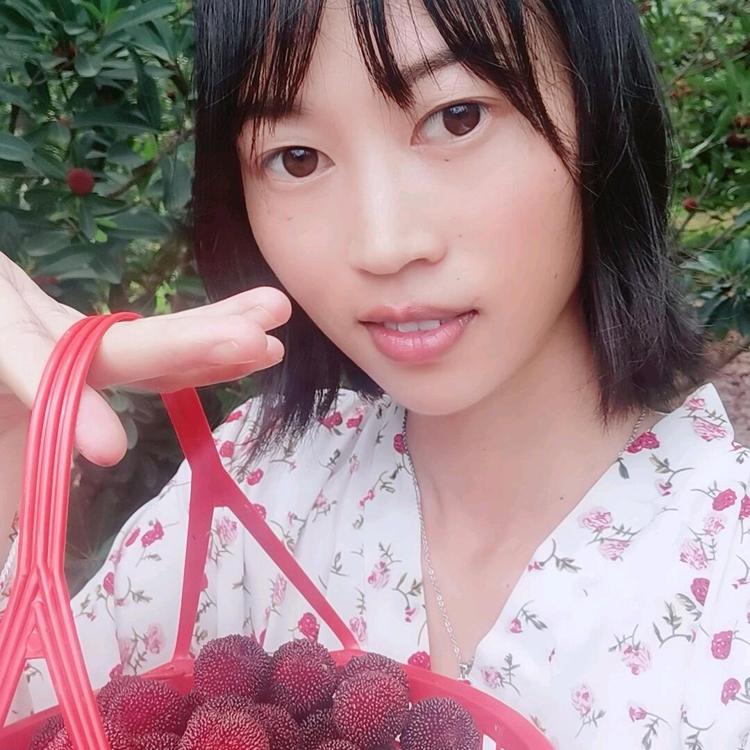 树树果苗培育基地