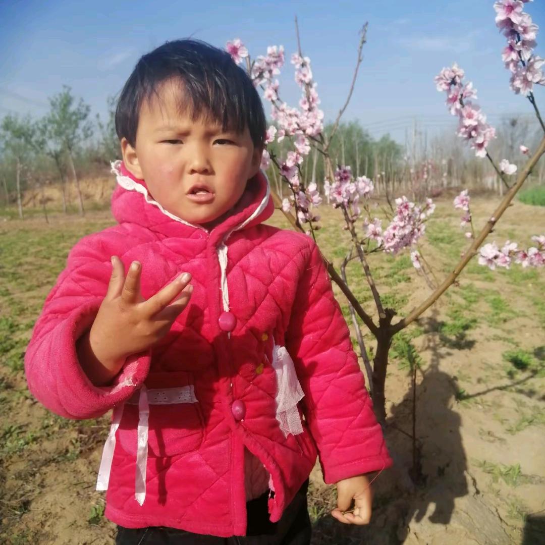 忘忧草$