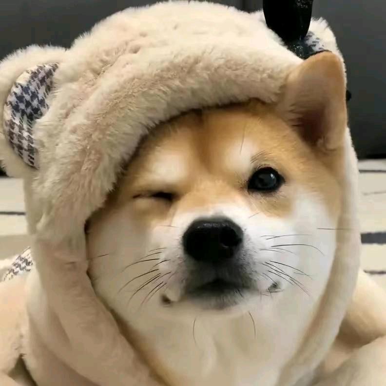tentacion
