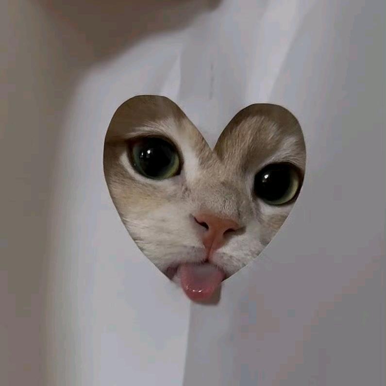 小吱