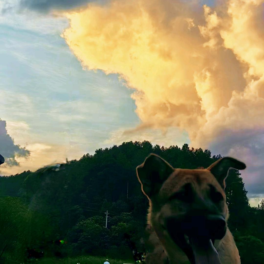 饮酒千斛不知愁