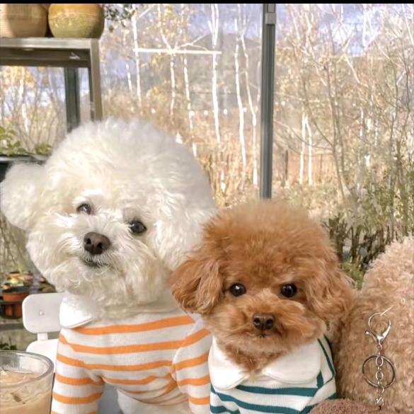 : এº᭄ 㞮💞 孞༊ ړ