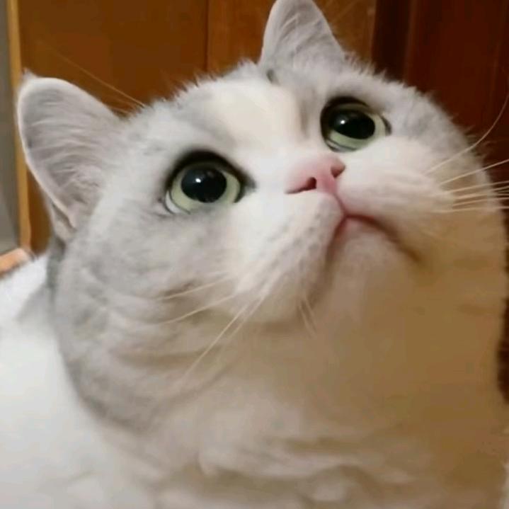 狂翻衣袖