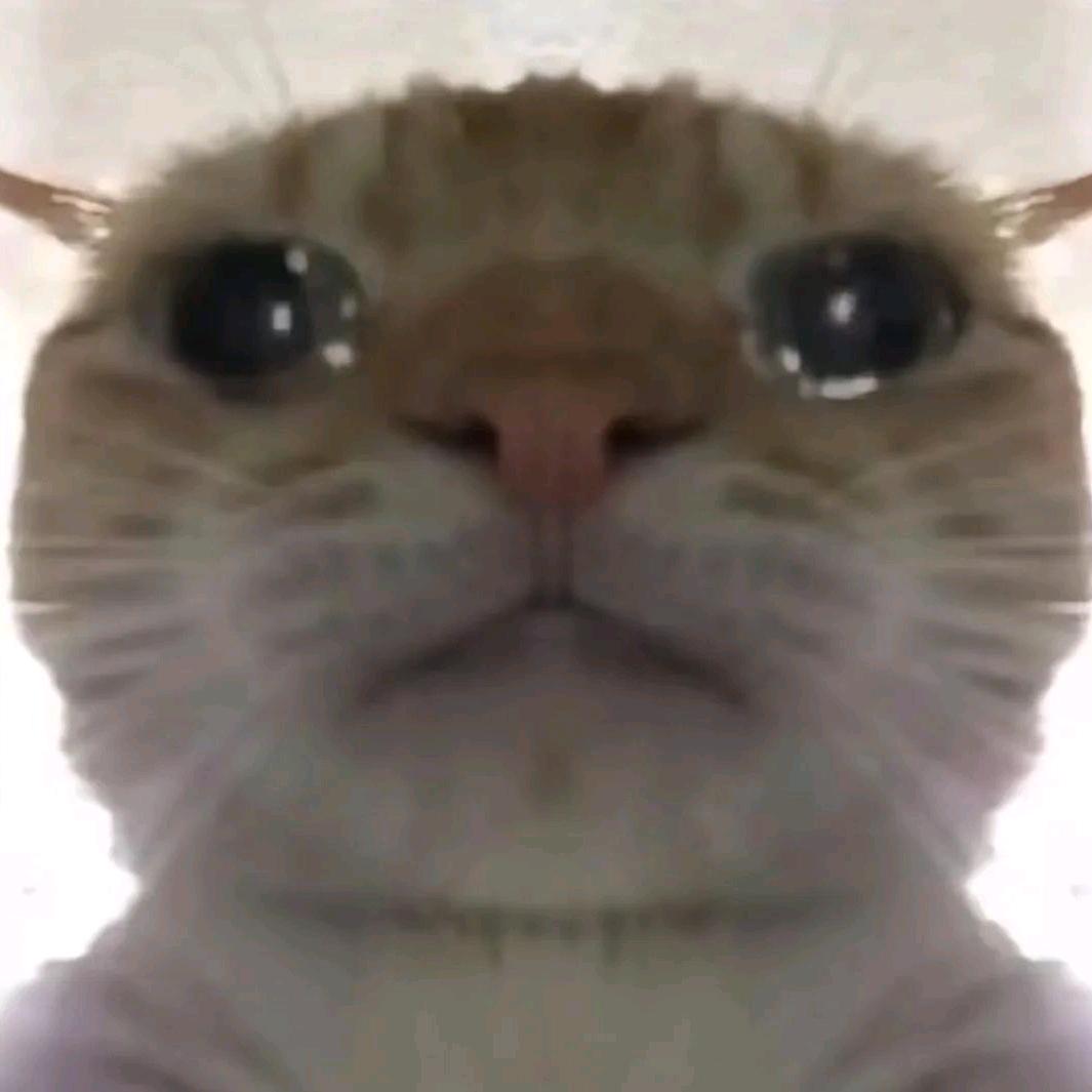 玉哭🈚泪