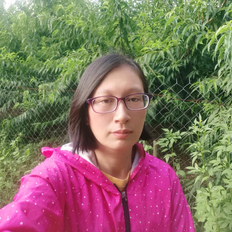 农村郑姐