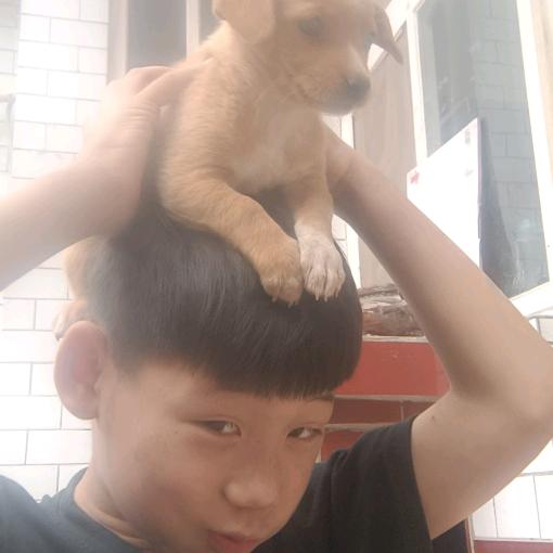 张荣考
