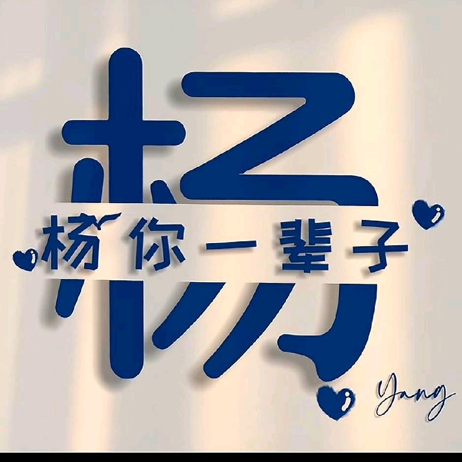 ＊小杨总