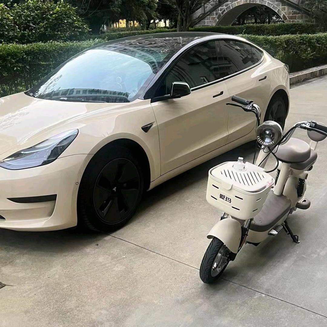 奔跑的土豆🥔