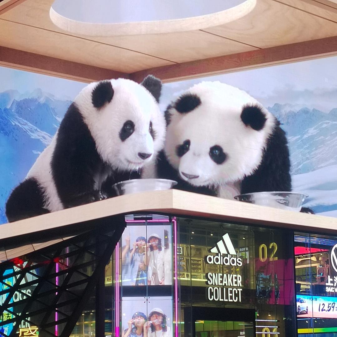 阿琴奶奶爱生活