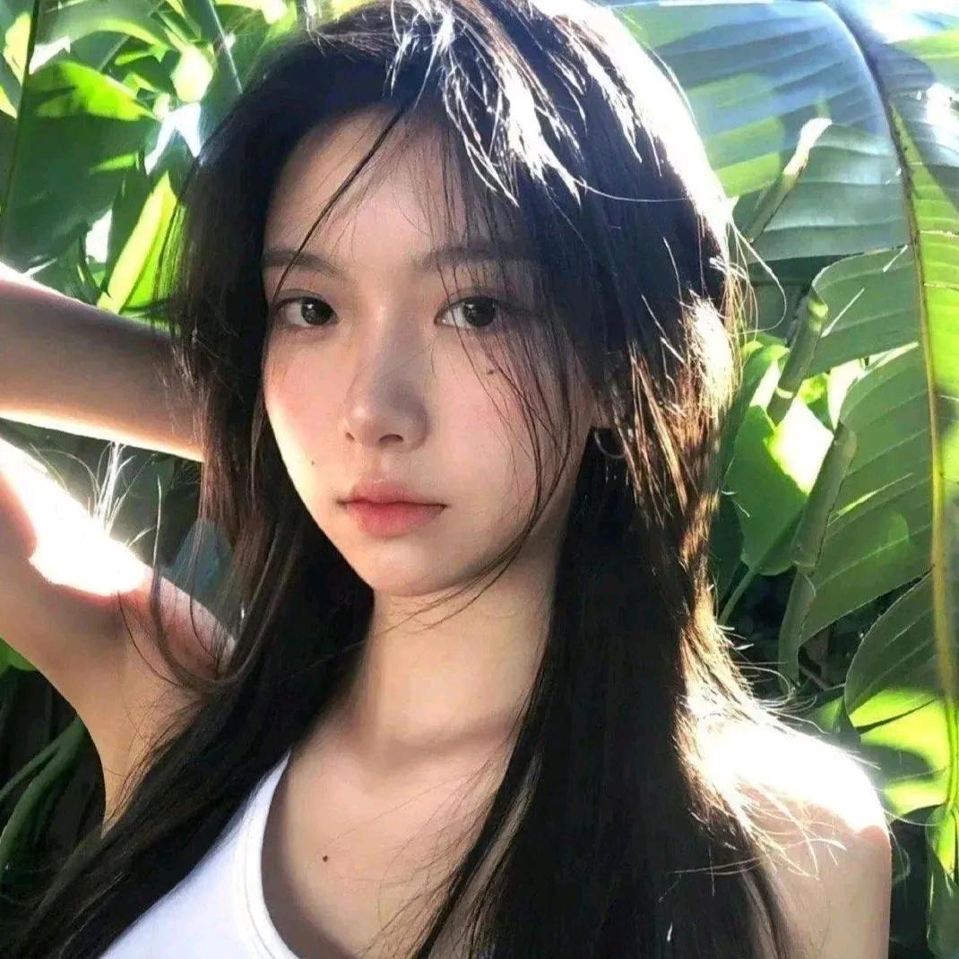 派猪zhu