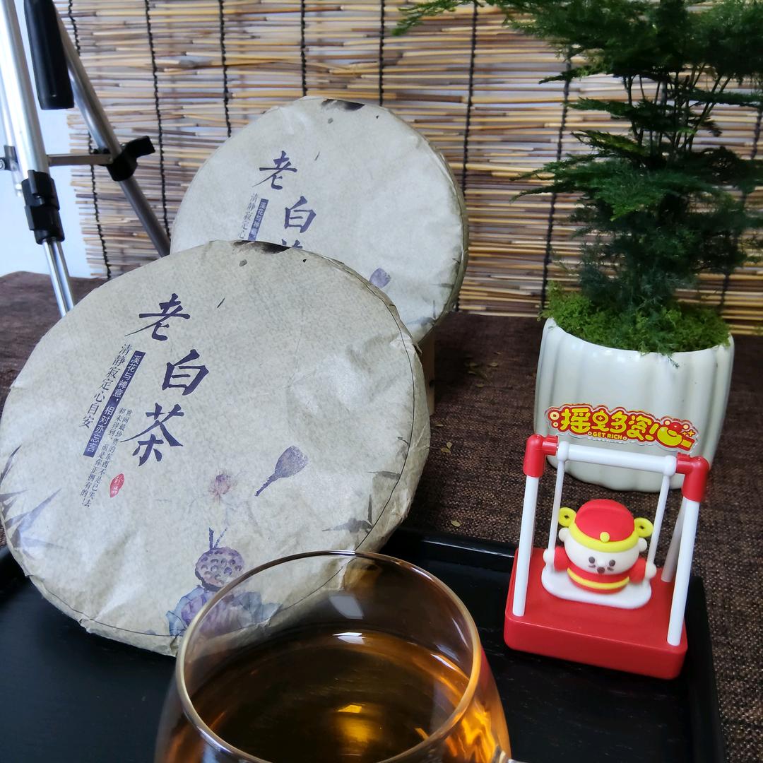 小鸿