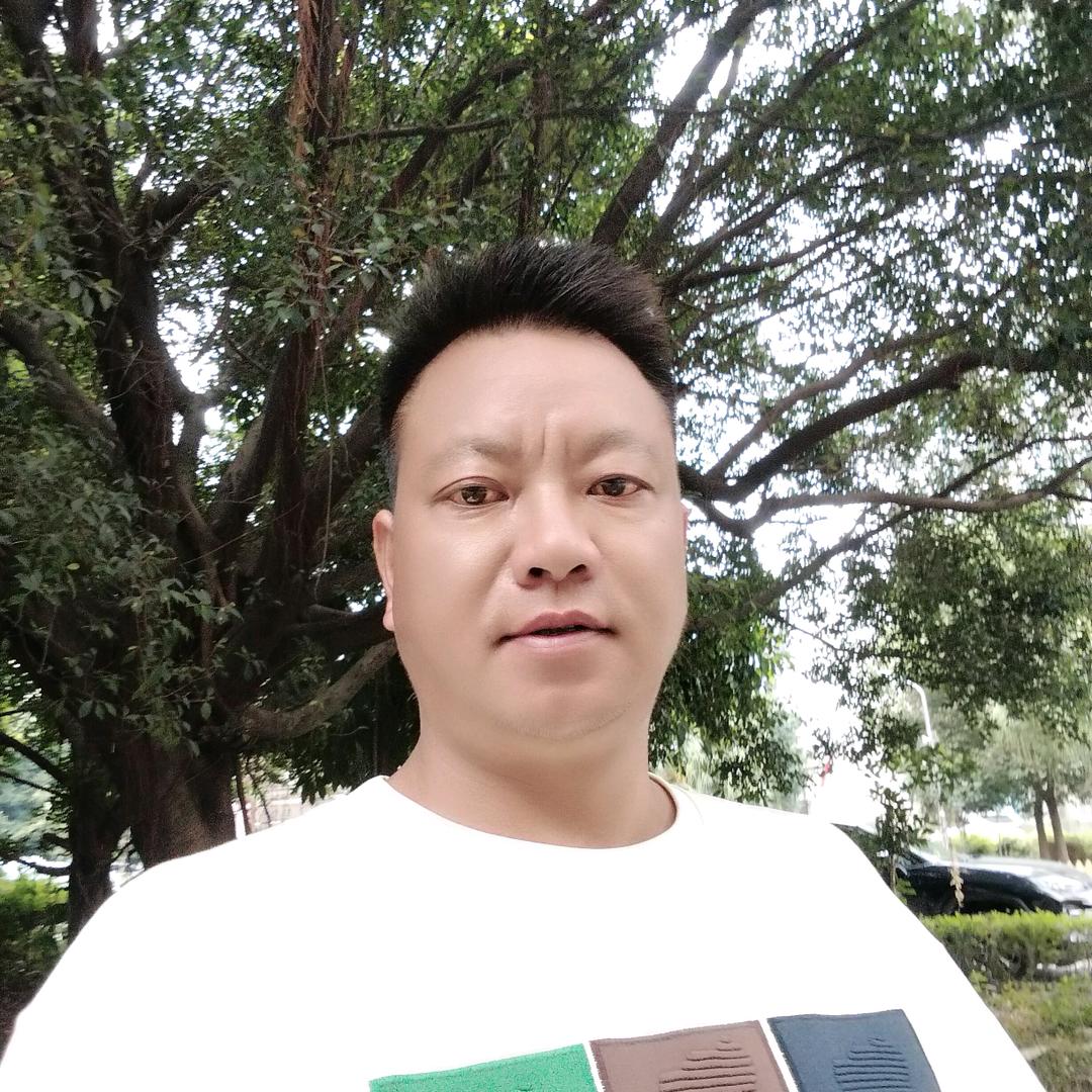 一匹孤独的野狼