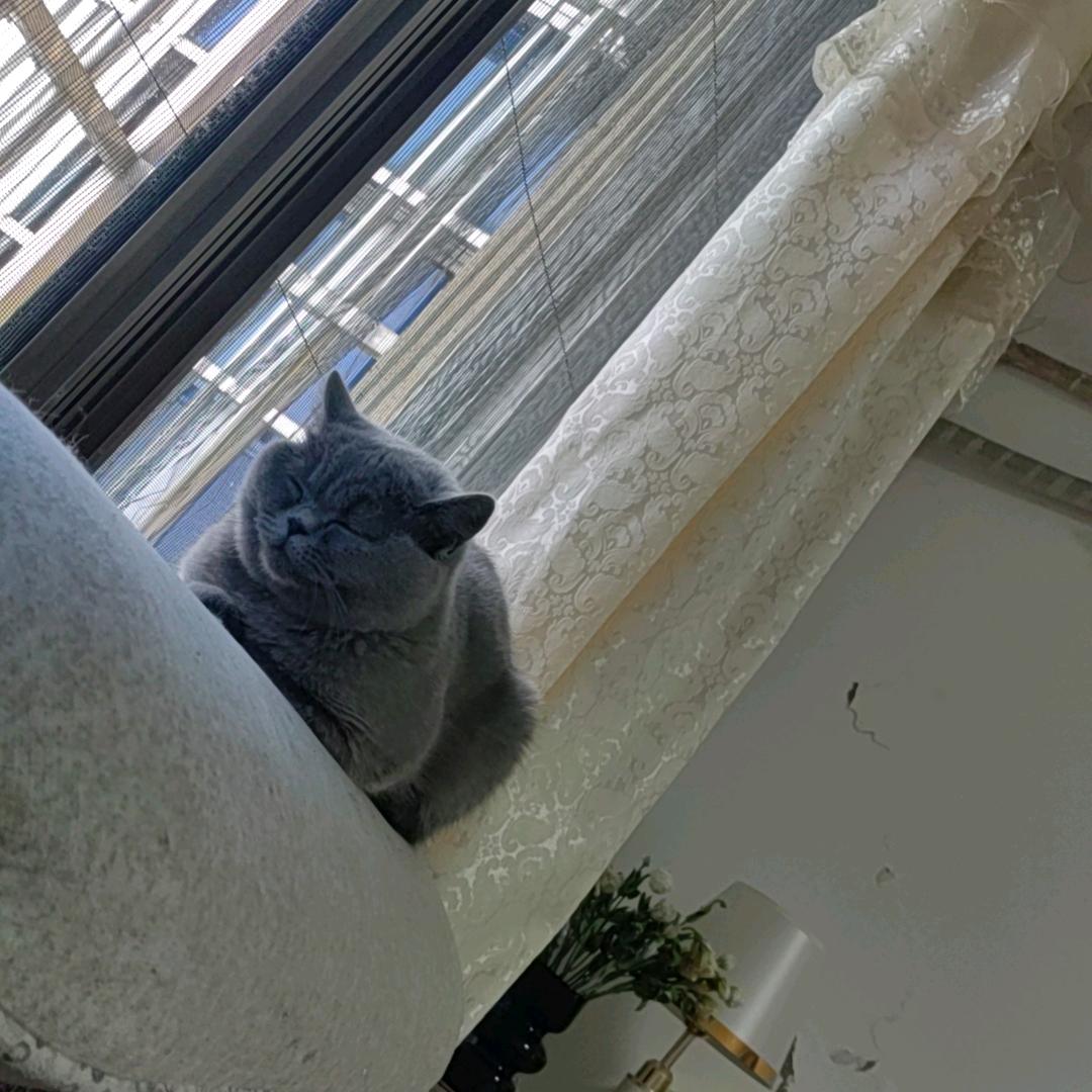 朱冬冬